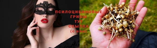 ECSTASY Краснослободск