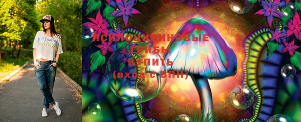 ECSTASY Краснослободск