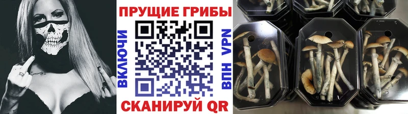 Псилоцибиновые грибы Magic Shrooms Усть-Илимск